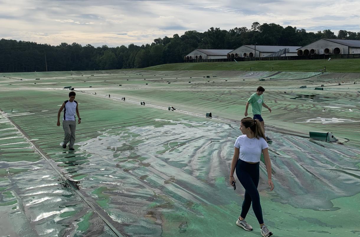 students walk on covered swine waste field outdoors