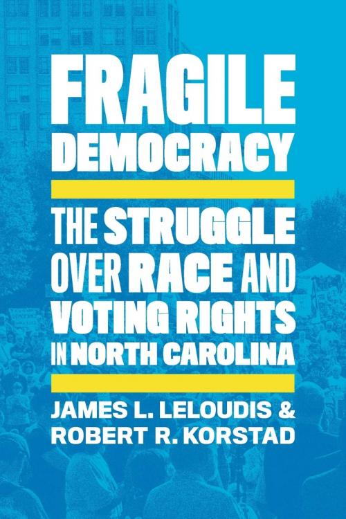 Book: Fragile Democracy