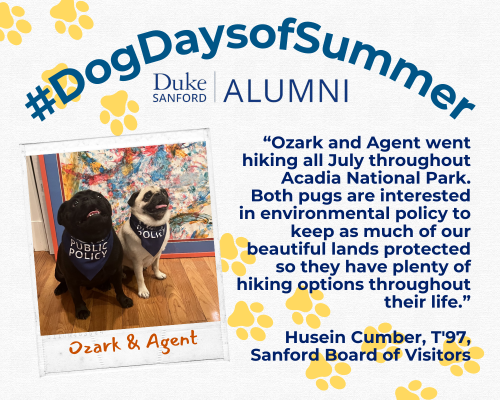 Dog_Days_Ozark&Agent